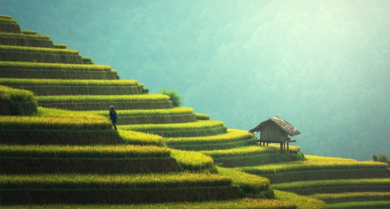 Sustainable Home Solutions